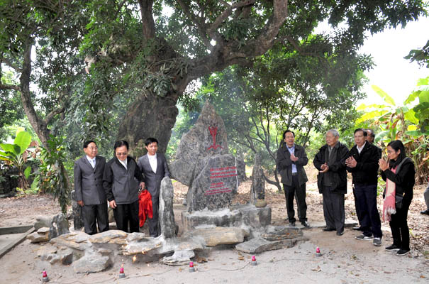 Cây[-]Nhãn[-]cổ[-]thụ,[-]cổ[-]kính[-]bậc[-]nhất[-]Việt[-]Nam[-]được[-]vinh[-]danh[-]Cây[-]Di[-]sản[-]Việt[-]Nam